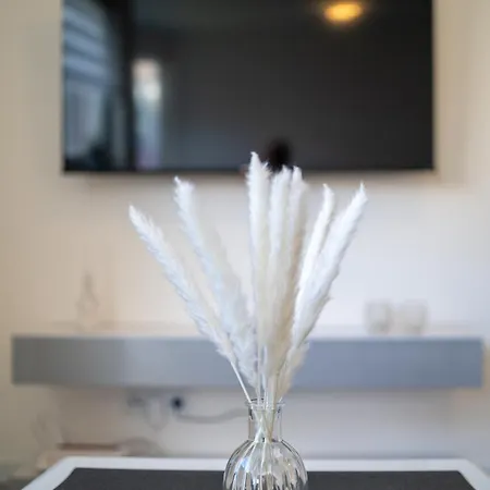 Designer Living Wlan&smart-tv&self Check-in 公寓 *